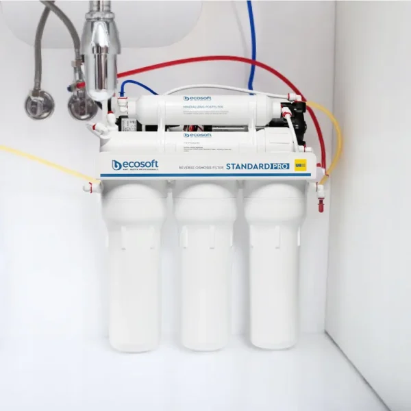 Filtr odwróconej osmozy Ecosoft STANDARD PRO z mineralizacją i pompą BWT - obrazek 5
